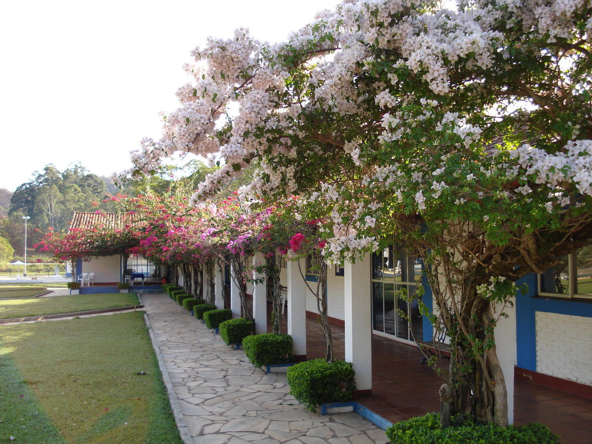 São Sebastião do Paraíso Hotel Termopolis المظهر الخارجي الصورة